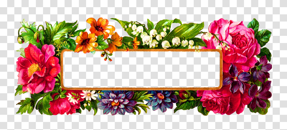 Floral Frame, Flower, Floral Design, Pattern Transparent Png