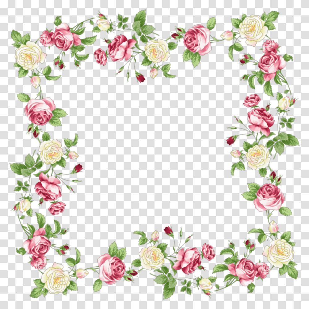 Floral Frame, Flower, Floral Design, Pattern Transparent Png