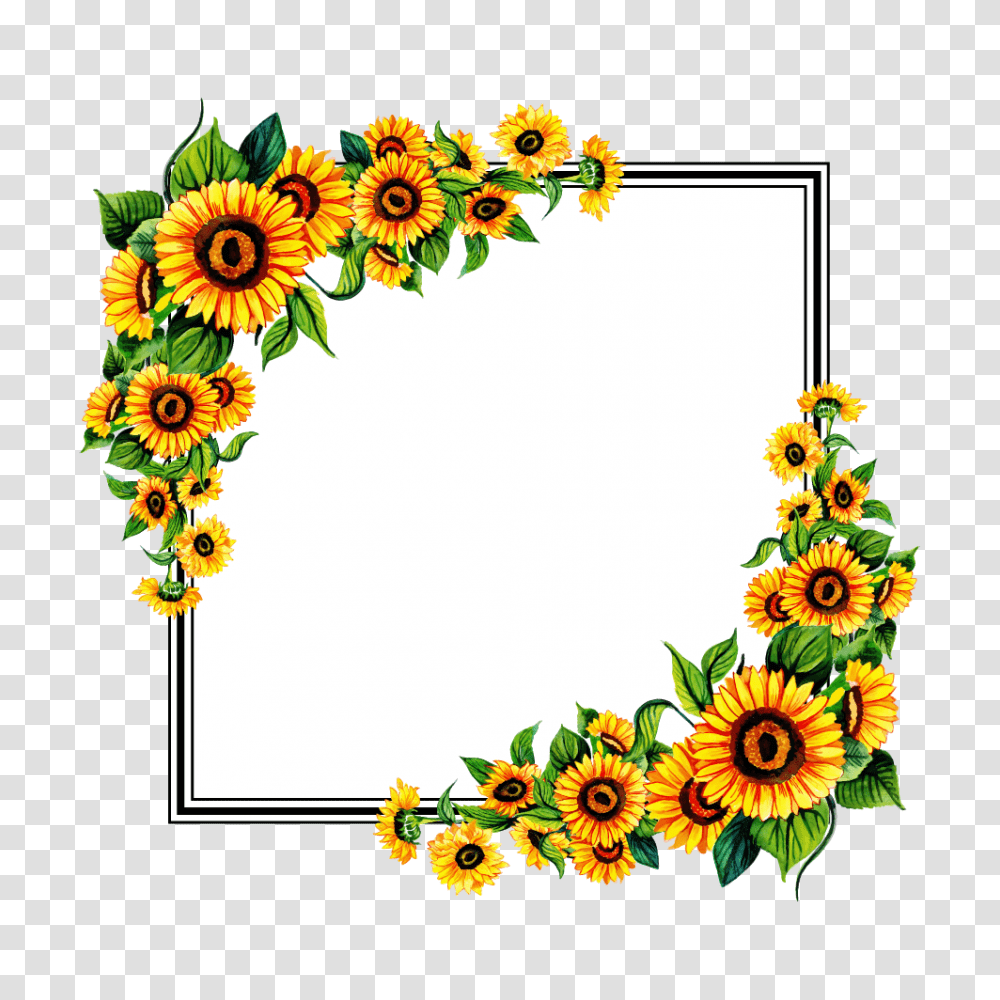 Floral Frame, Flower, Floral Design Transparent Png