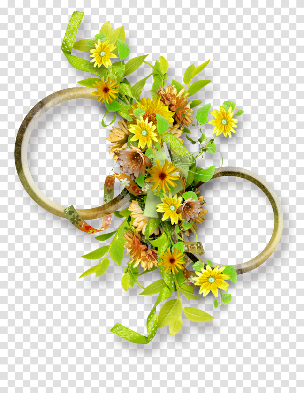 Floral Frame, Flower, Plant Transparent Png