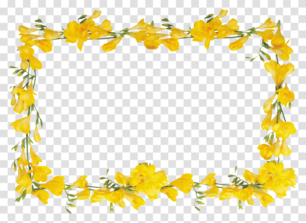 Floral Frame, Flower, Leaf, Plant, Vine Transparent Png