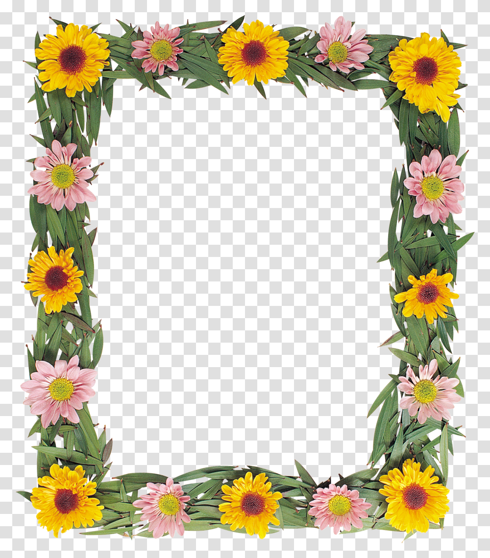 Floral Frame, Flower, Plant, Blossom, Floral Design Transparent Png