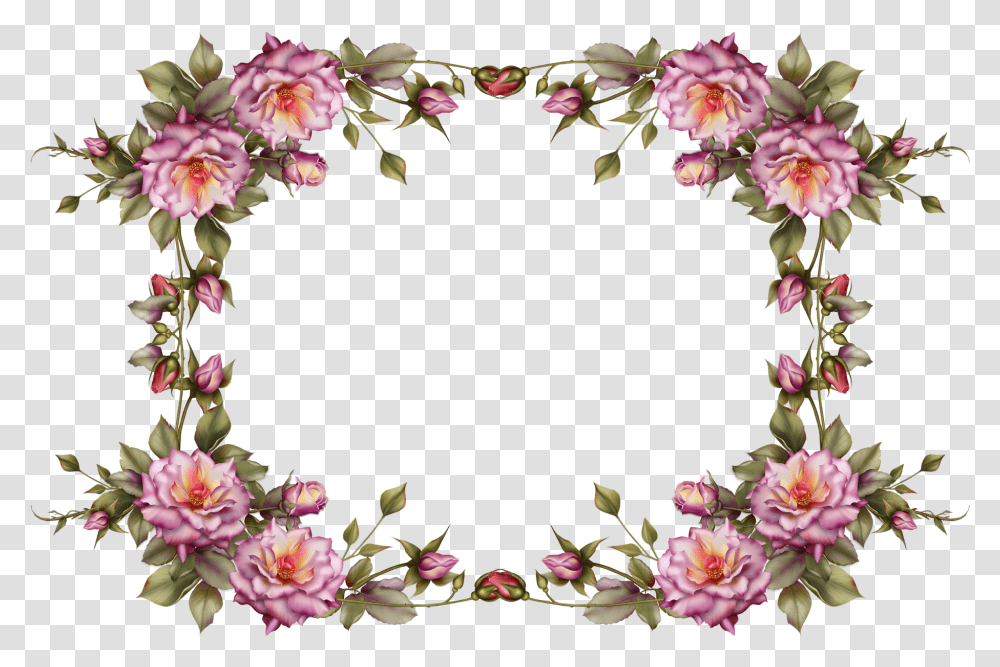 Floral Frame, Flower, Plant, Blossom, Floral Design Transparent Png