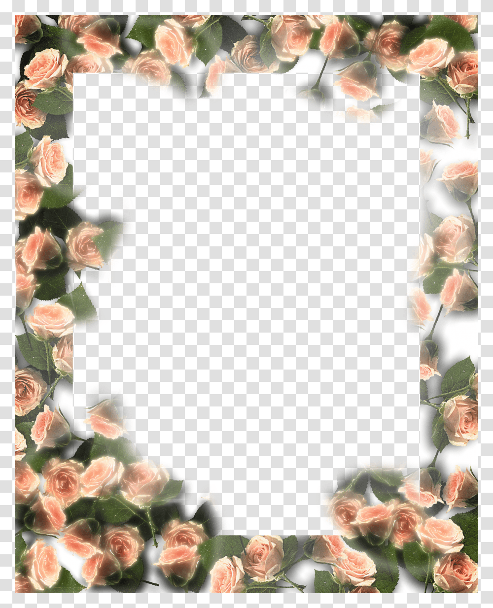 Floral Frame, Flower, Plant, Blossom, Flower Arrangement Transparent Png