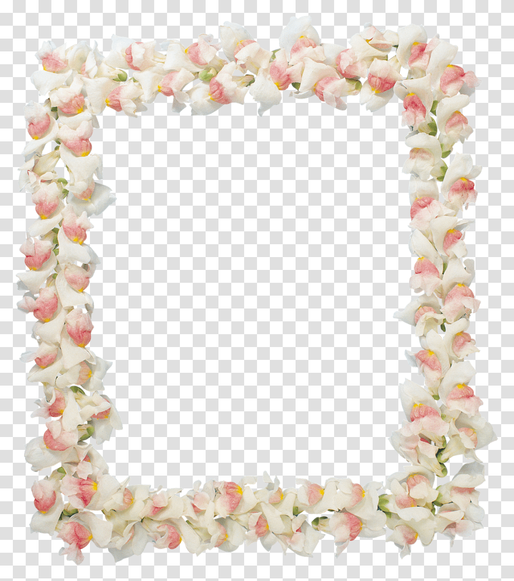 Floral Frame, Flower, Plant, Blossom, Flower Arrangement Transparent Png