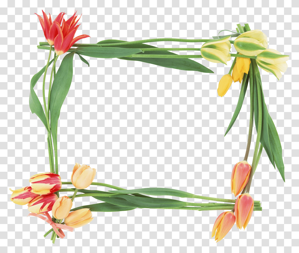 Floral Frame, Flower, Plant, Blossom, Flower Arrangement Transparent Png