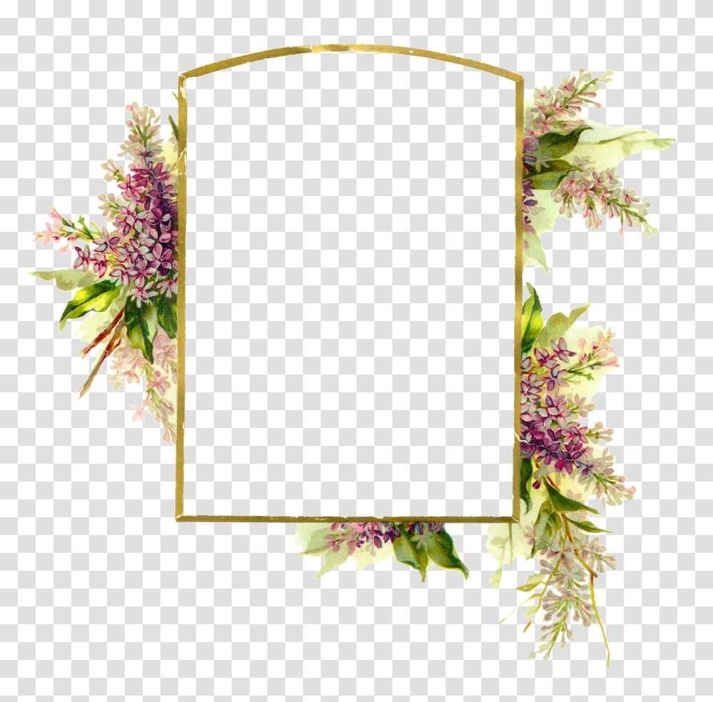 Floral Frame, Flower, Plant, Blossom, Mirror Transparent Png