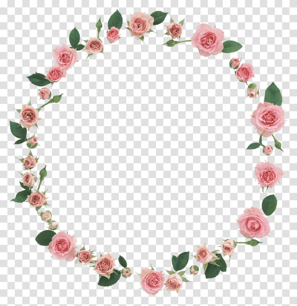 Floral Frame, Flower, Plant, Blossom, Pattern Transparent Png