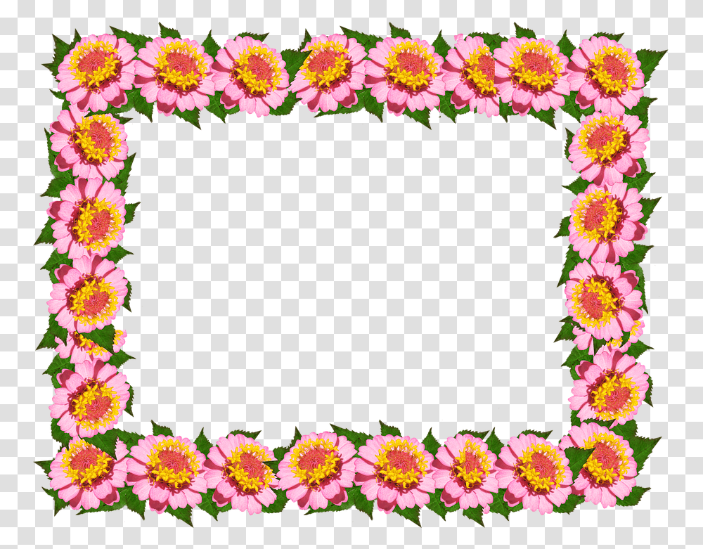Floral Frame, Flower, Plant, Blossom, Petal Transparent Png