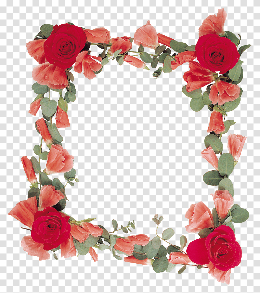 Floral Frame, Flower, Plant, Blossom, Rose Transparent Png