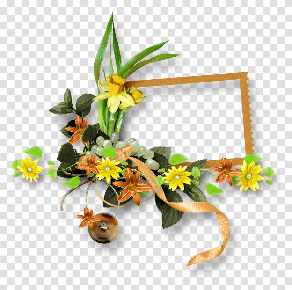 Floral Frame, Flower, Plant, Blossom Transparent Png