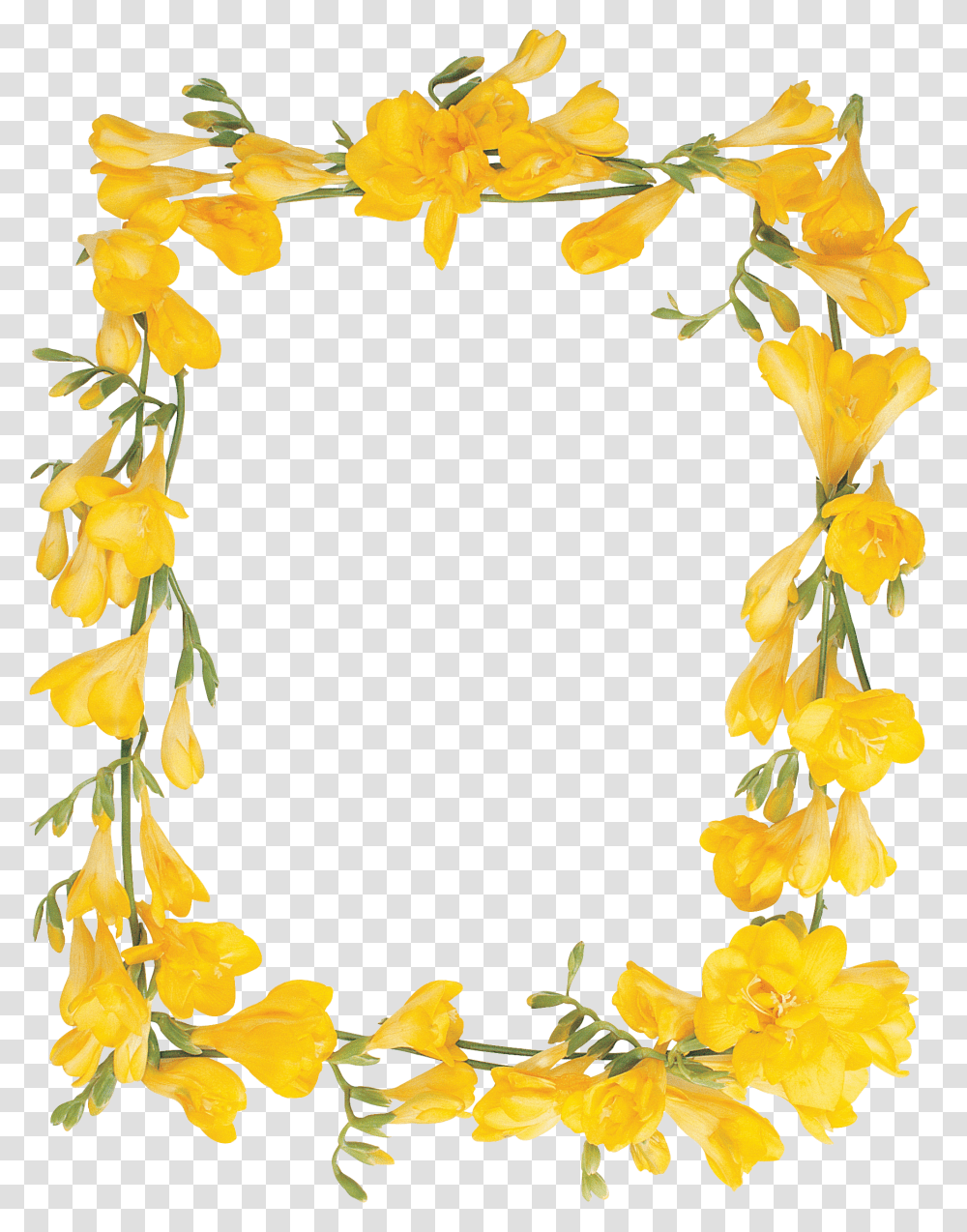 Floral Frame, Flower, Plant, Blossom, Wreath Transparent Png