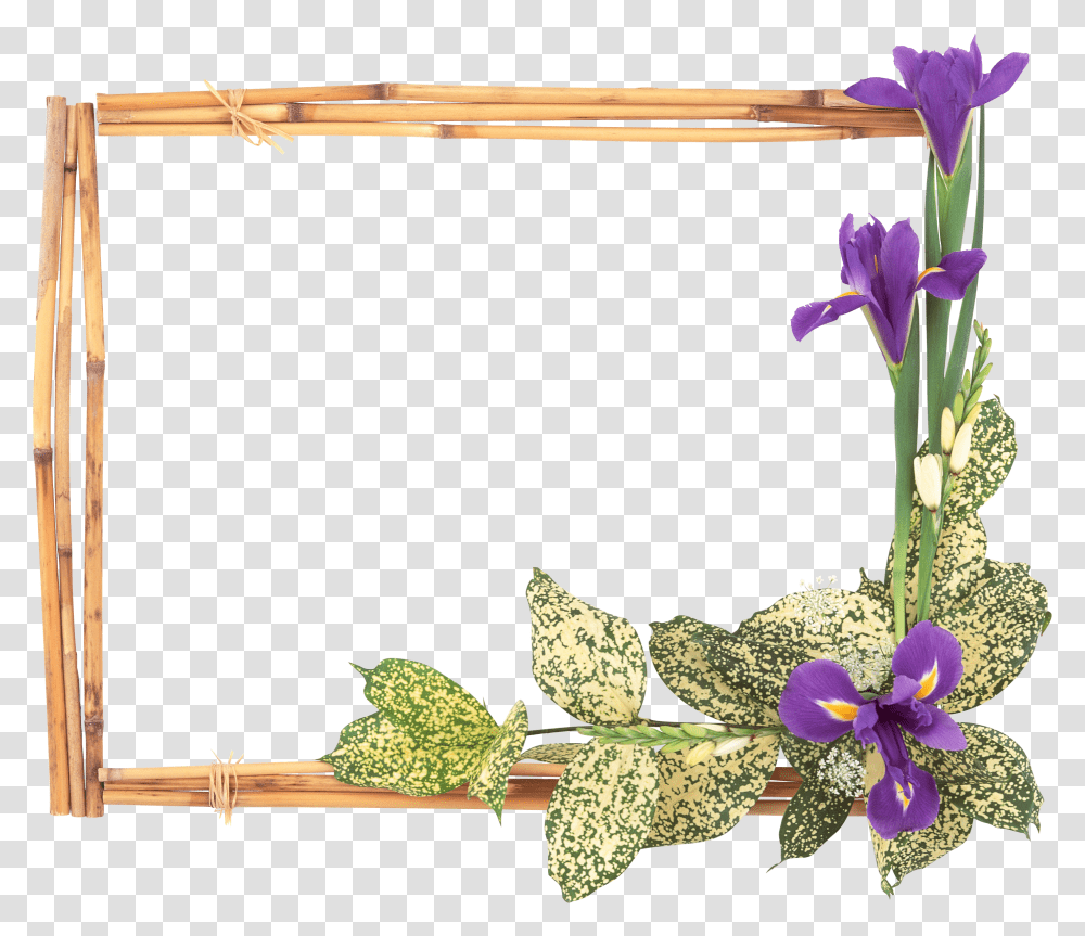 Floral Frame, Flower, Plant, Construction Crane, Vase Transparent Png