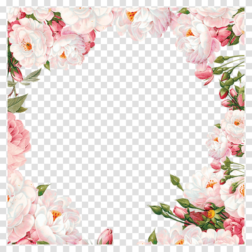 Floral Frame, Flower, Plant, Floral Design, Pattern Transparent Png