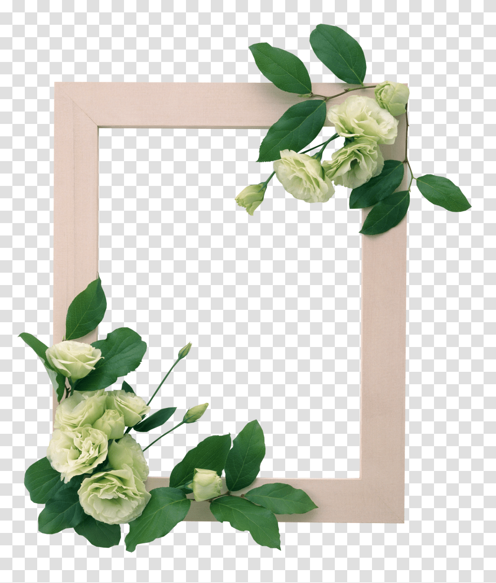 Floral Frame, Flower, Plant Transparent Png