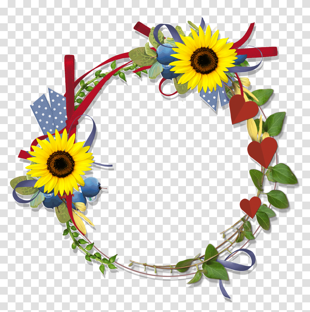 Floral Frame, Flower, Plant Transparent Png