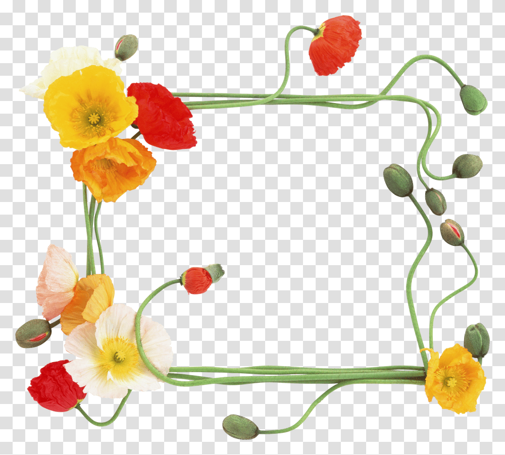 Floral Frame, Flower, Plant, Petal, Accessories Transparent Png