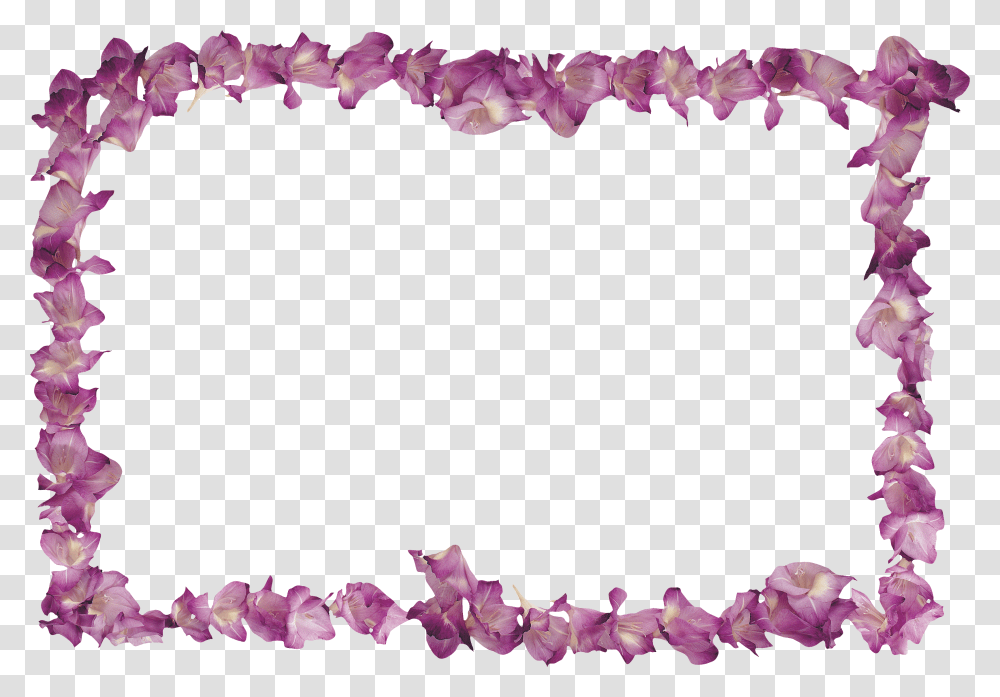 Floral Frame, Flower, Plant, Petal, Blossom Transparent Png