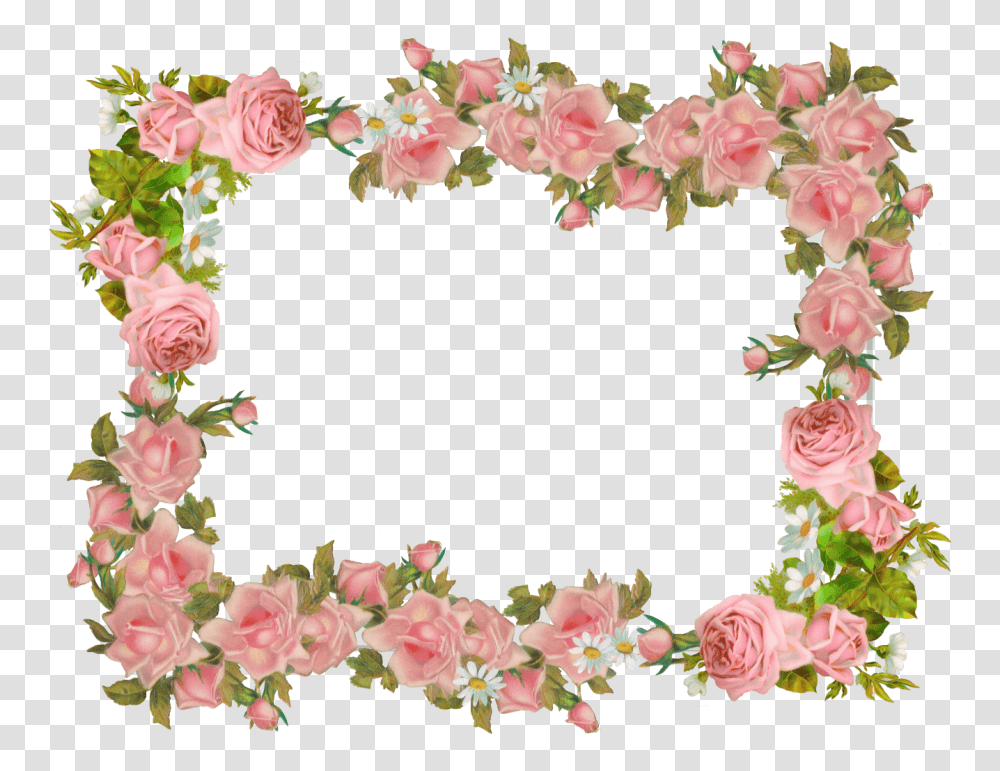 Floral Frame, Flower, Plant, Petal, Flower Arrangement Transparent Png