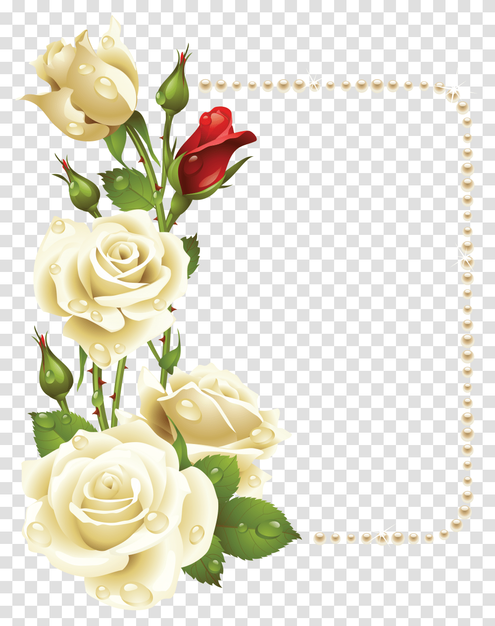 Floral Frame, Flower, Plant, Rose, Blossom Transparent Png