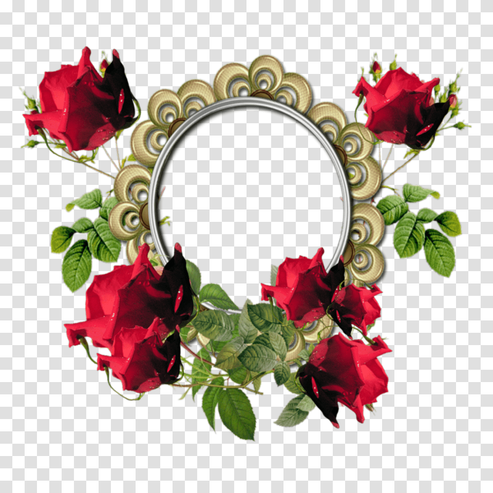 Floral Frame, Flower, Plant, Rose, Blossom Transparent Png