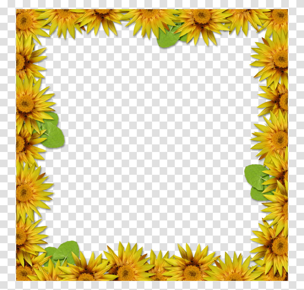 Floral Frame, Flower, Plant, Sunflower, Blossom Transparent Png