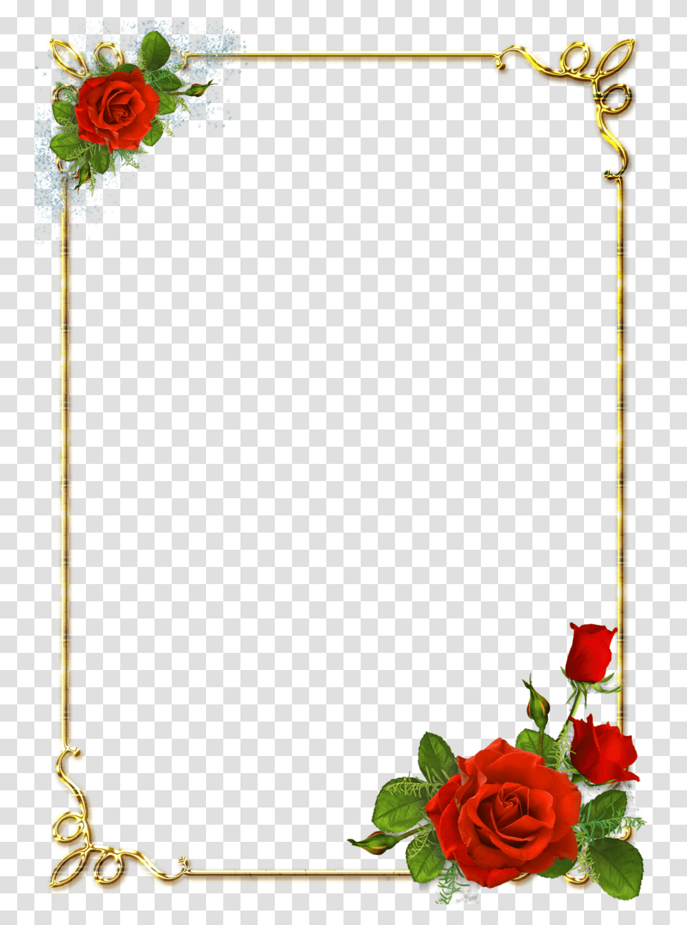 Floral Frame, Flower, Plant, Vase, Jar Transparent Png