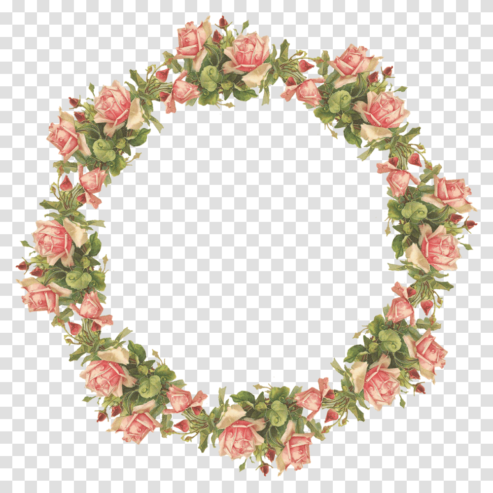 Floral Frame, Flower, Plant, Wreath, Blossom Transparent Png