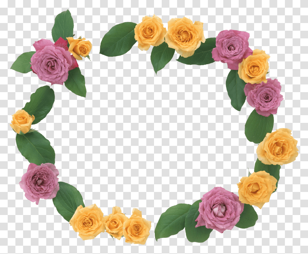 Floral Frame, Flower, Rose, Plant, Blossom Transparent Png