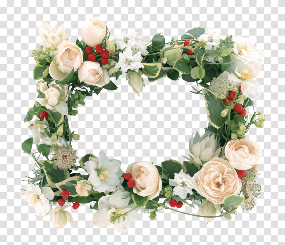 Floral Frame, Flower, Rose, Plant, Blossom Transparent Png