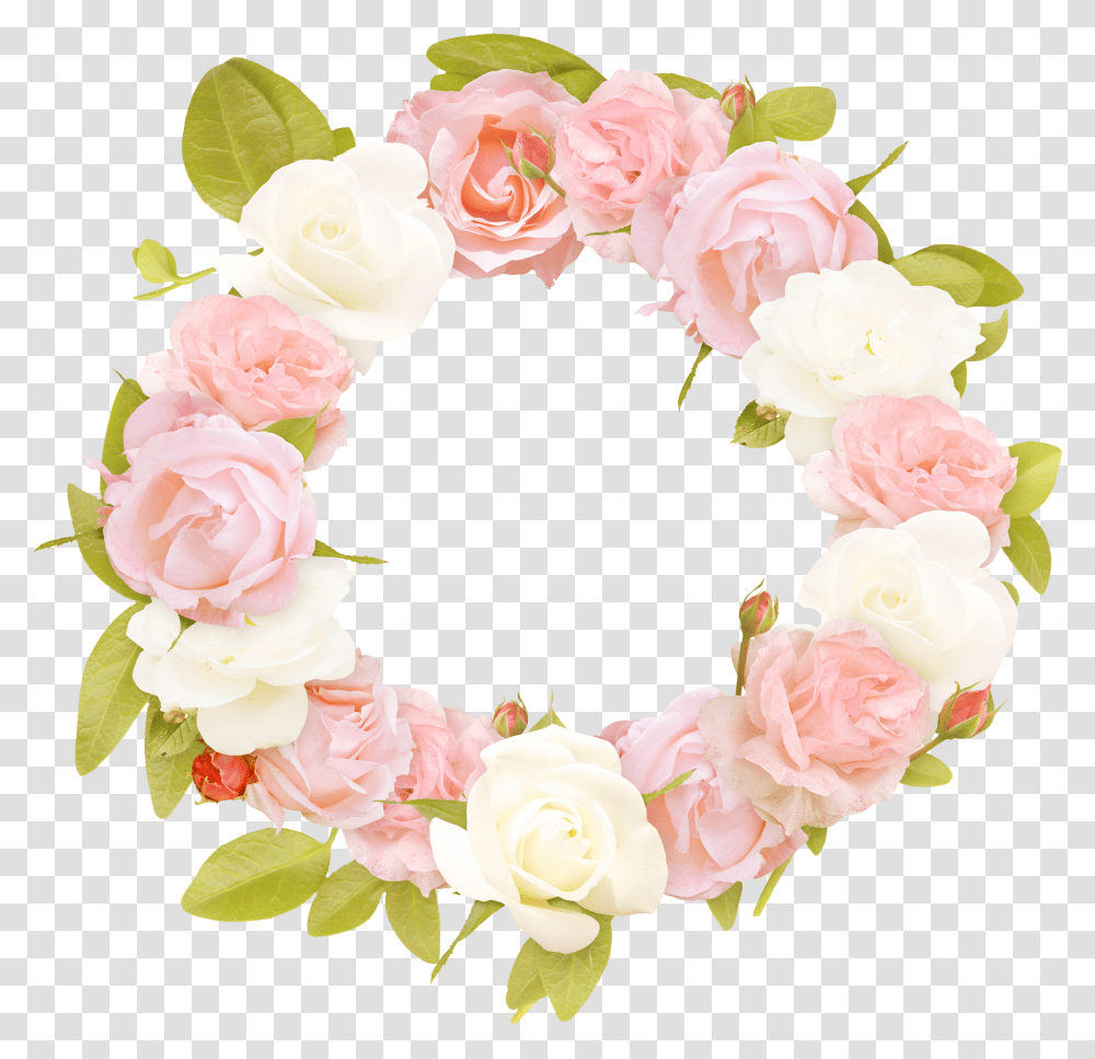 Floral Frame, Flower, Rose, Plant, Blossom Transparent Png