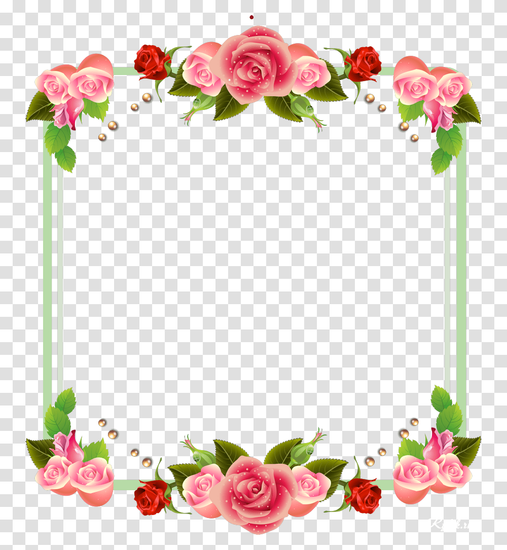 Floral Frame, Flower, Rose, Plant, Blossom Transparent Png