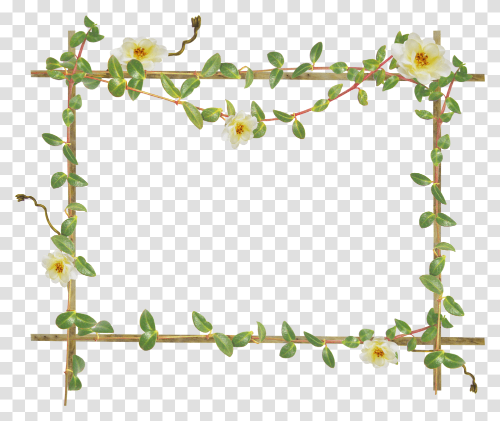 Floral Frame, Flower, Number Transparent Png