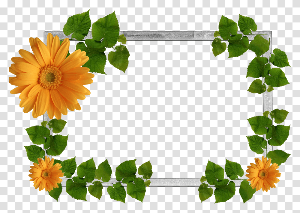 Floral Frame, Flower Transparent Png