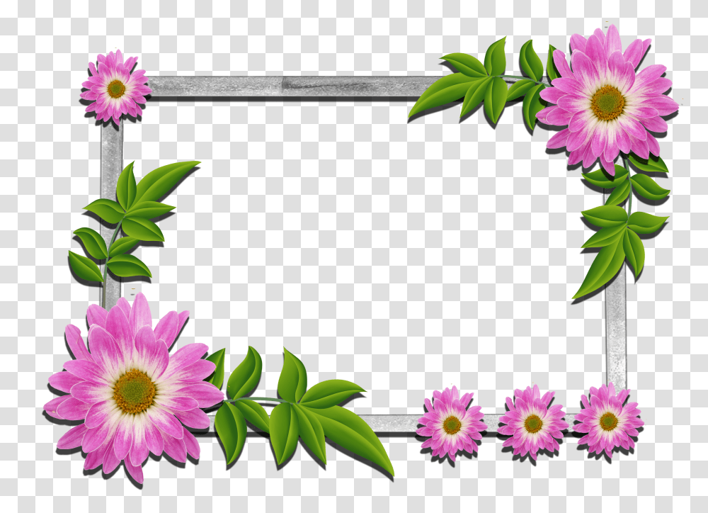 Floral Frame, Flower Transparent Png
