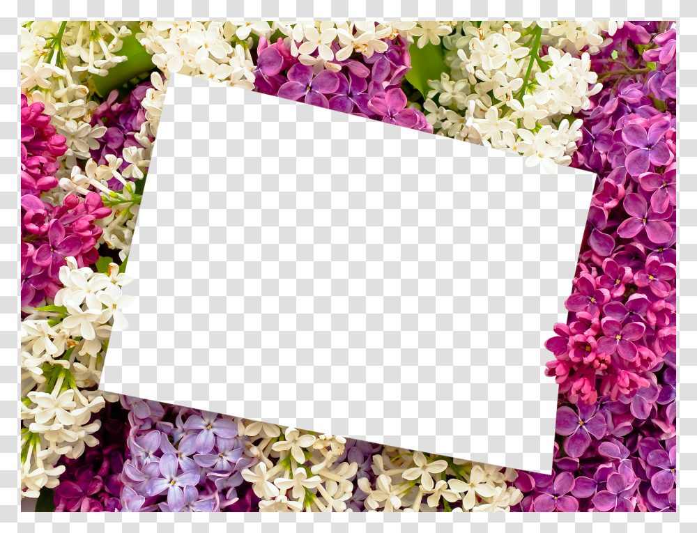 Floral Frame, Flower Transparent Png