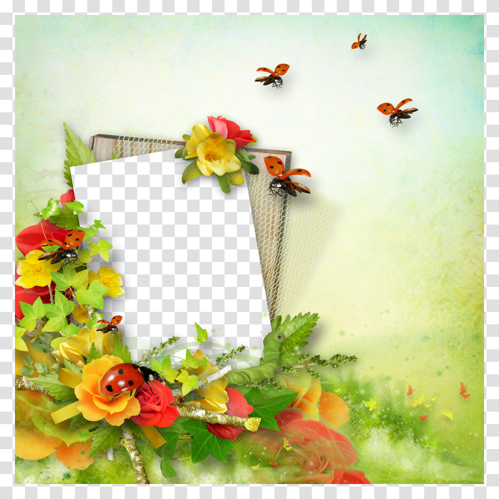 Floral Frame, Flower Transparent Png