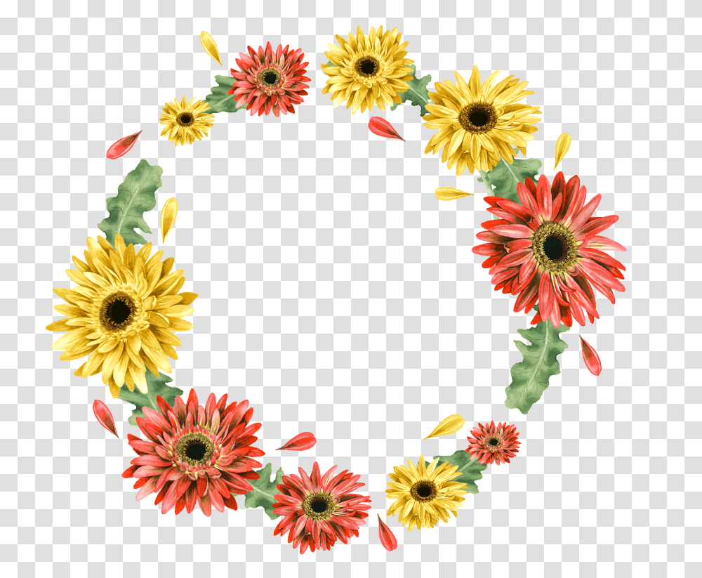 Floral Frame, Flower Transparent Png