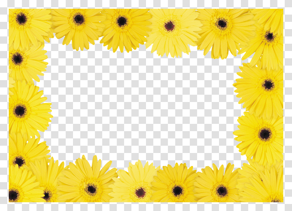 Floral Frame, Flower Transparent Png