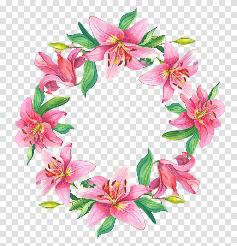 Floral Frame, Flower Transparent Png