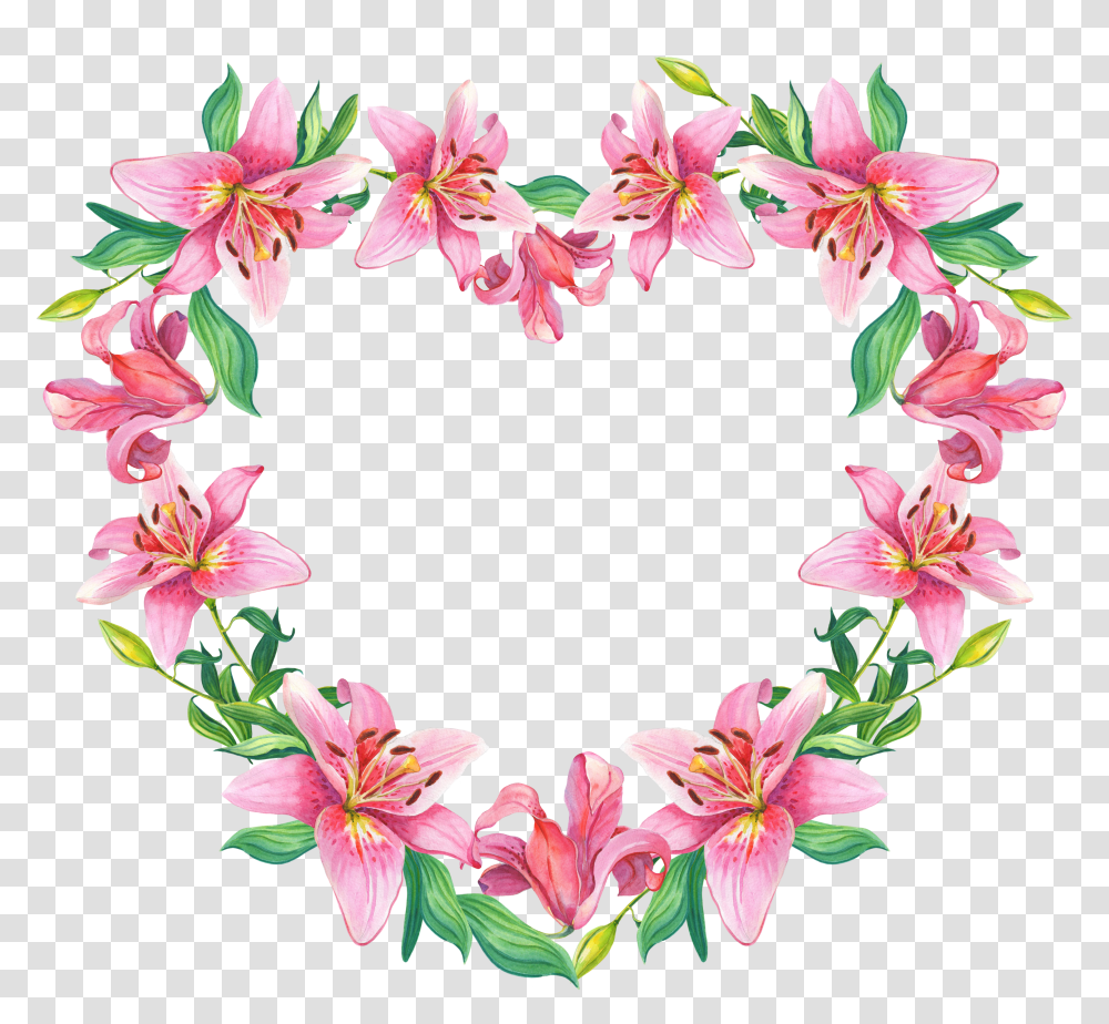 Floral Frame, Flower Transparent Png