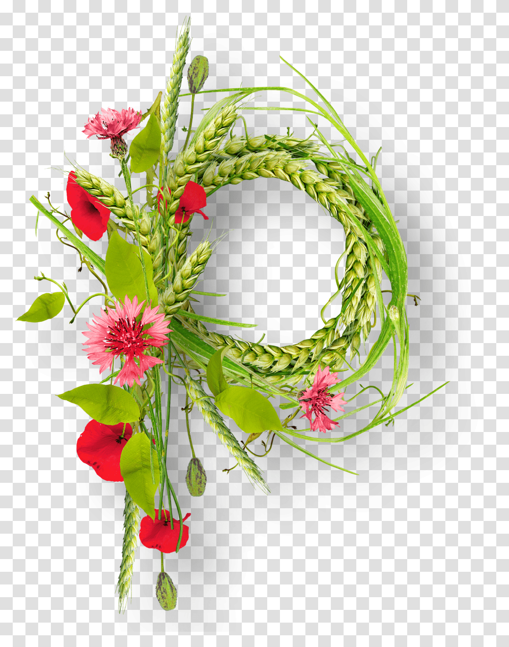 Floral Frame, Flower Transparent Png