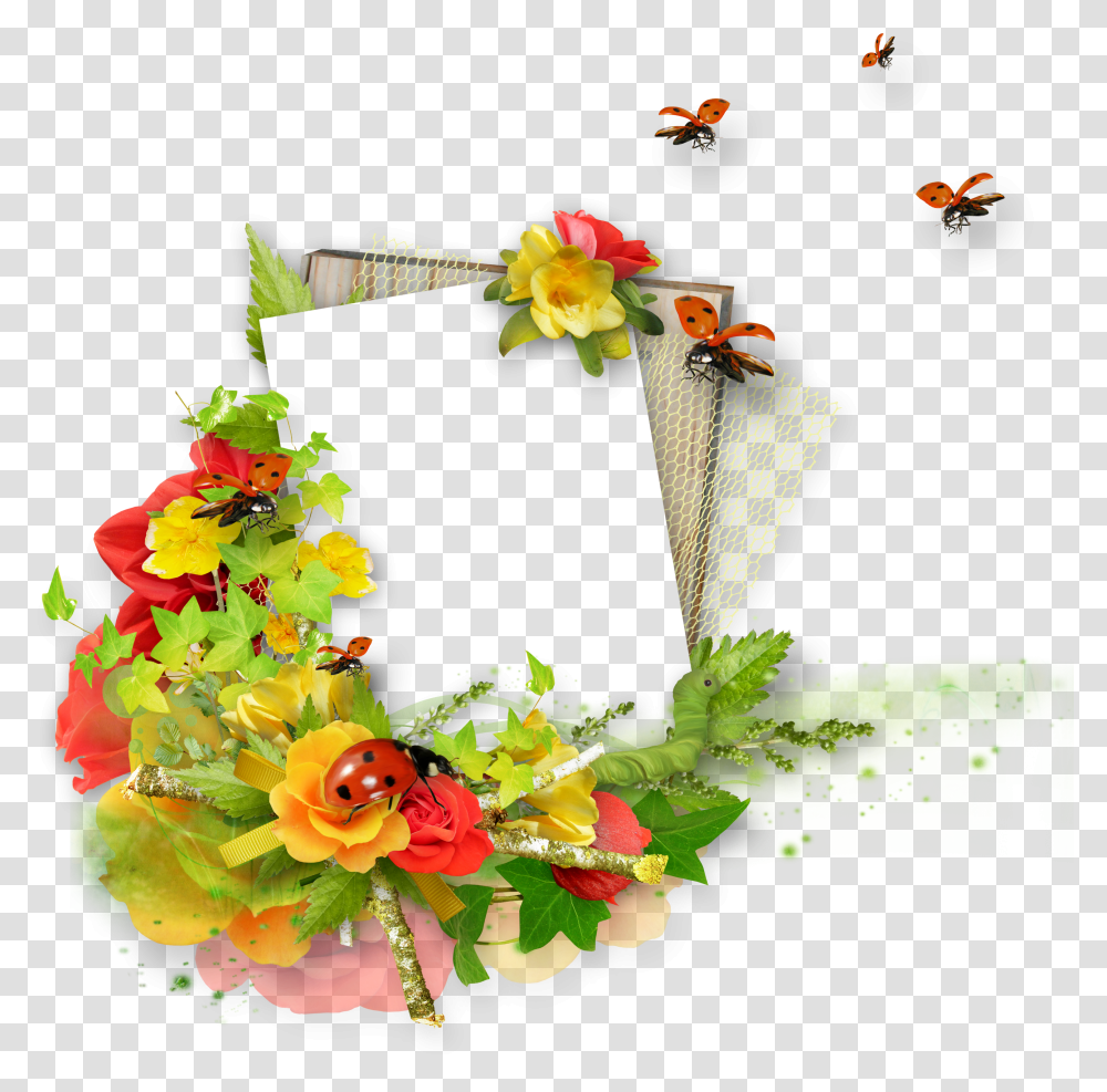 Floral Frame, Flower Transparent Png