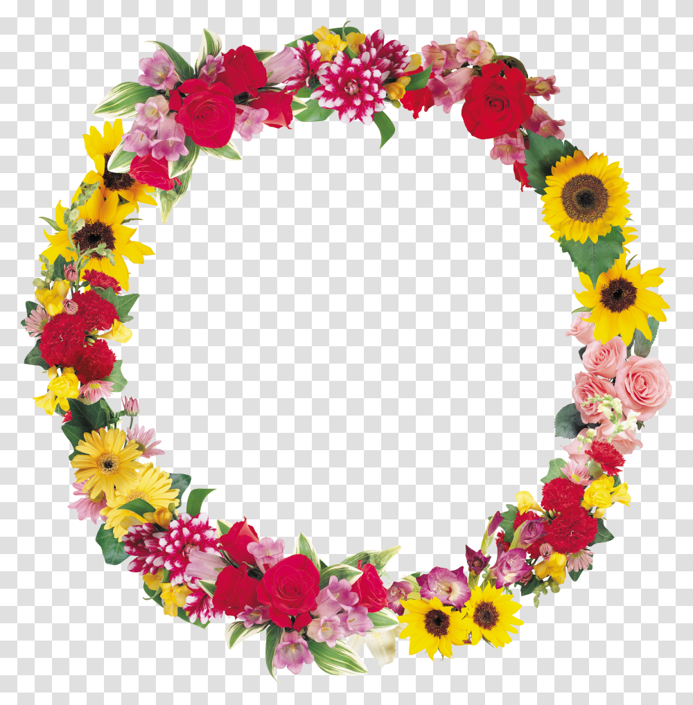 Floral Frame, Flower Transparent Png