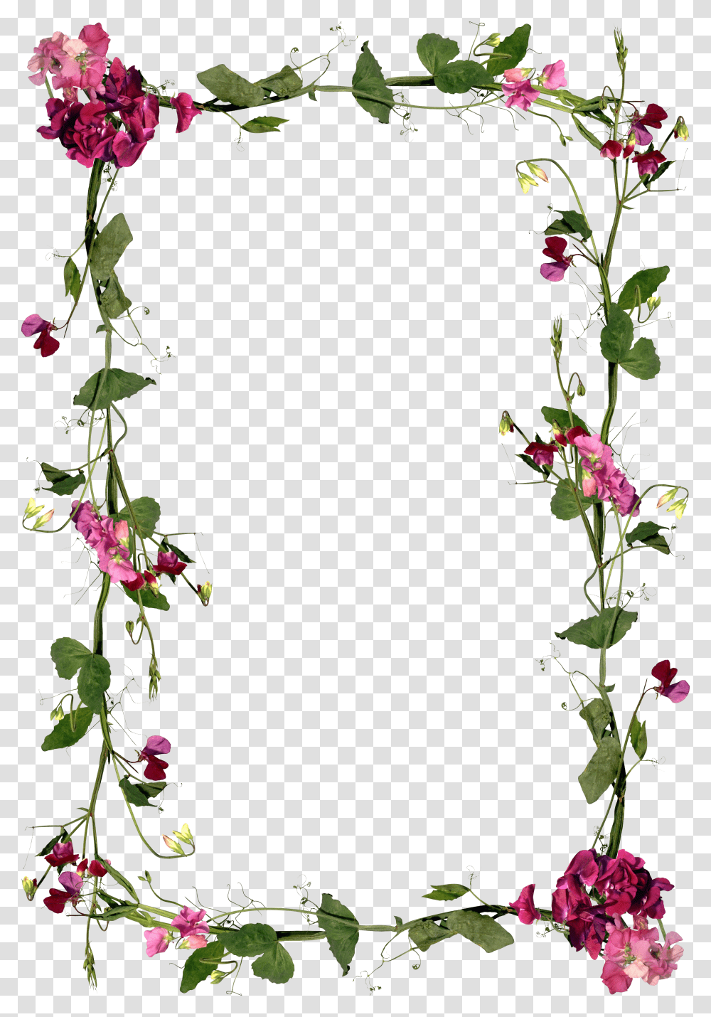 Floral Frame, Flower Transparent Png