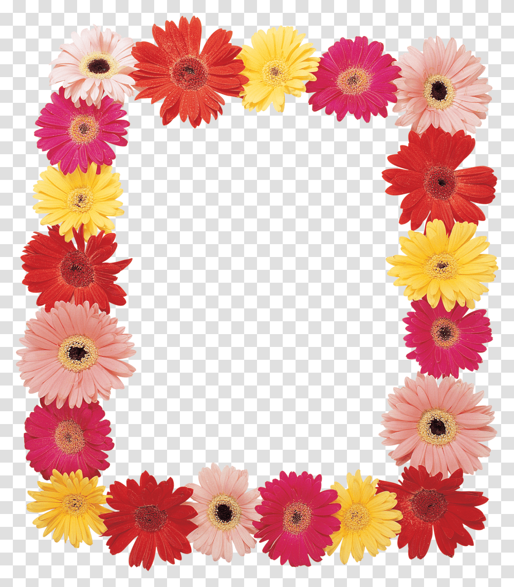 Floral Frame, Flower Transparent Png