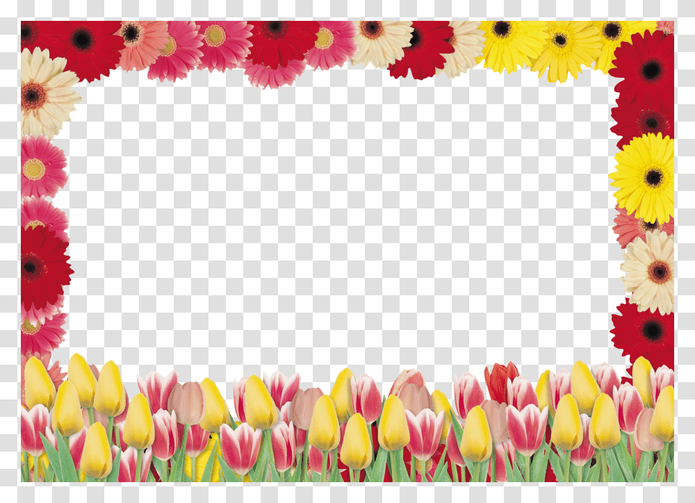 Floral Frame, Flower Transparent Png