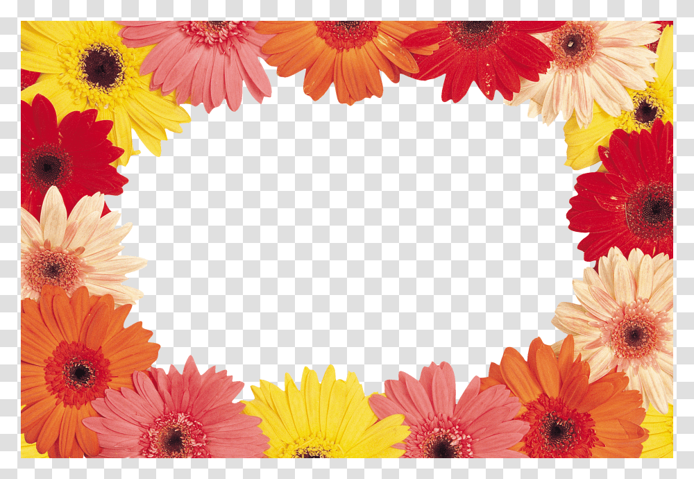 Floral Frame, Flower Transparent Png