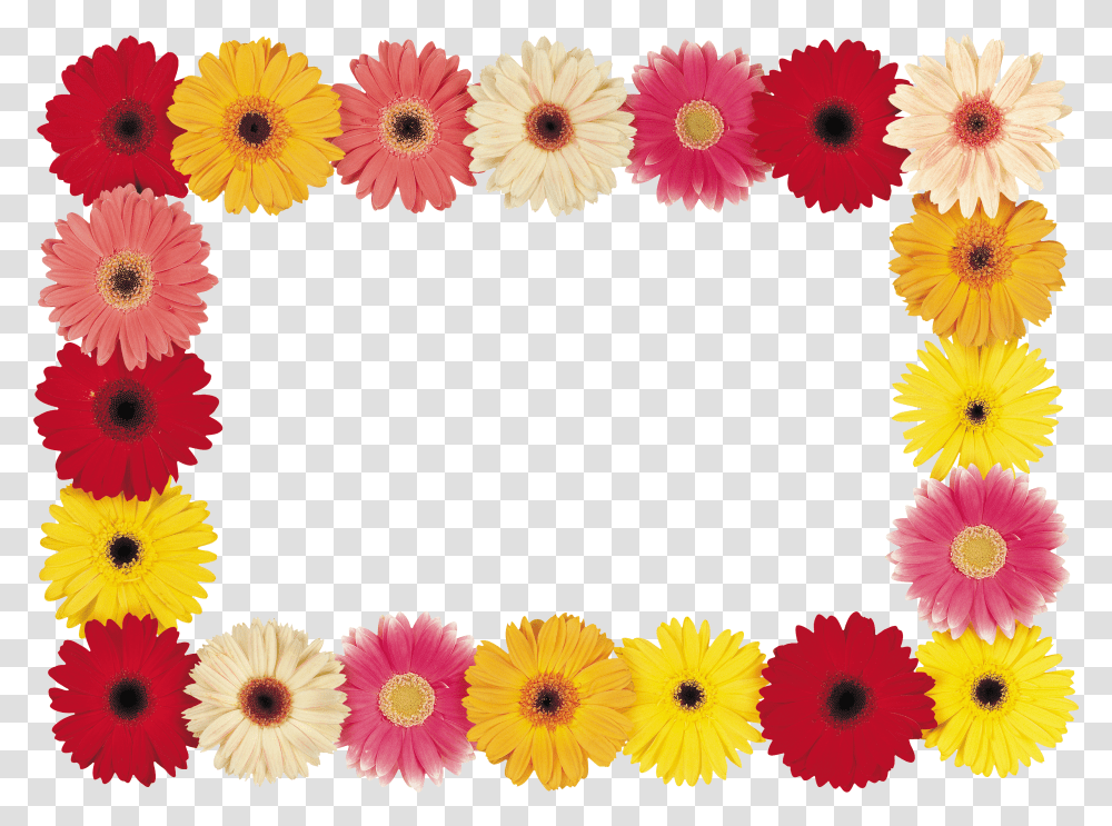 Floral Frame, Flower Transparent Png