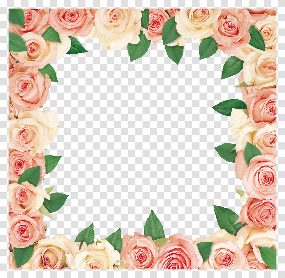 Floral Frame, Flower Transparent Png